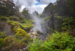 New Zealand 2025 (1 group) (55/66)